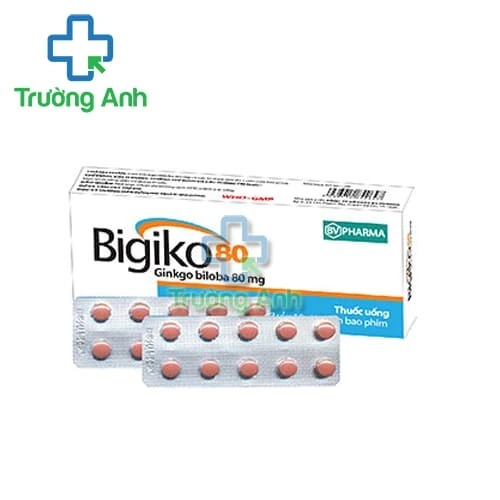 Bigiko 80 BV Pharma - Thuốc điều trị thiểu năng tuần hoàn não, cải thiện trí nhớ