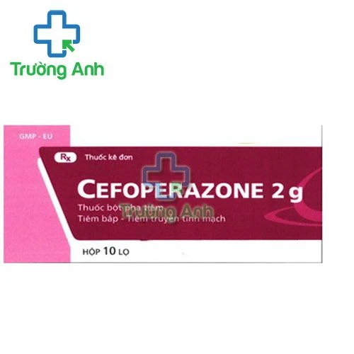Cefoperazone 2g - Thuốc điều trị nhiễm trùng hiệu quả