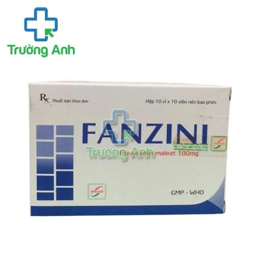 Fanzini 100mg Đông Nam - Thuốc điều trị trầm cảm và rối loạn cưỡng bức ám ảnh (OCD)