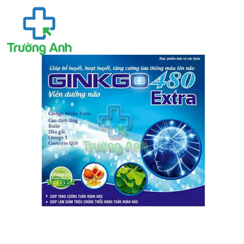 Ginkgo 480 Extra - Giúp tăng cường tuần hoàn não
