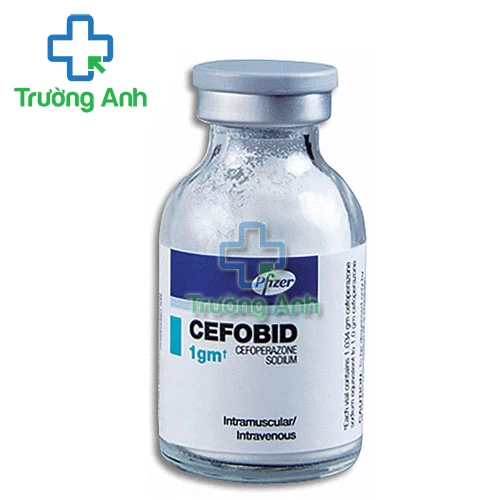 Cefobid - Thuốc tiêm điều trị nhiễm khuẩn của Ý