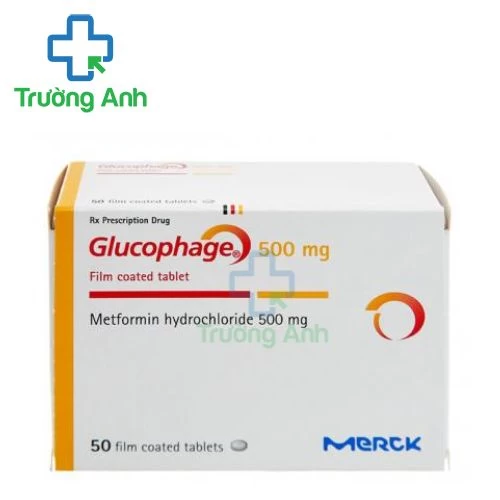 Glucophage 500mg - Thuốc điều trị bệnh đái tháo đường tuýp II
