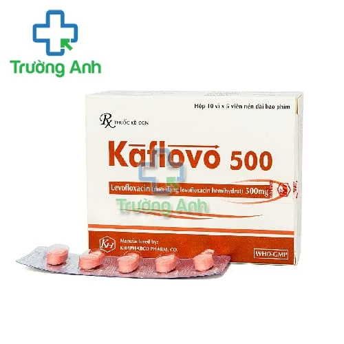 Aklevo 500 - Thuốc điều trị các bệnh nhiễm trùng