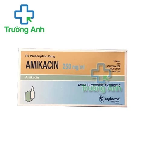 Amikacin 250mg/ml - Thuốc điều trị nhiễm khuẩn kị khí