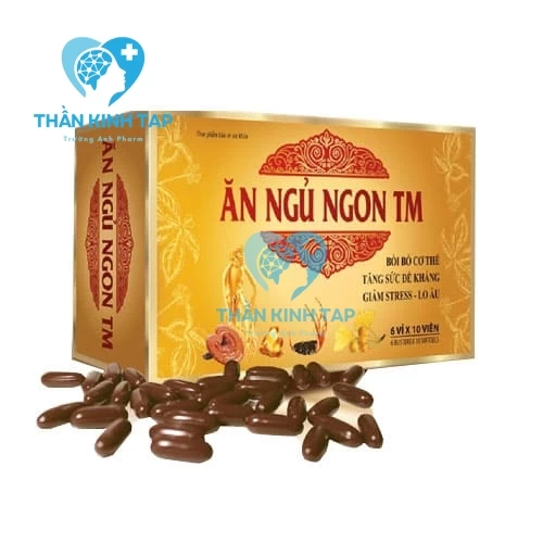 Ăn Ngủ Ngon TM - Hỗ trợ tuần hoàn máu não, suy nhược thần kinh