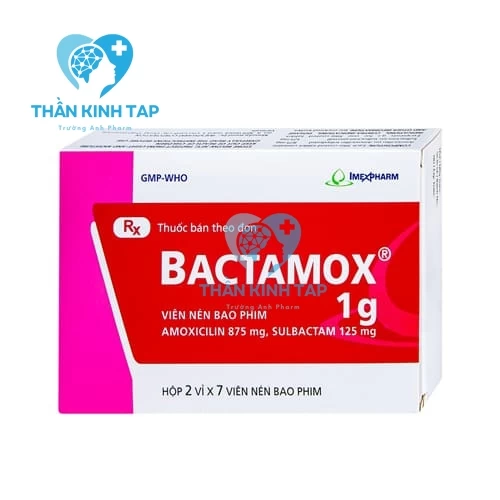 Bactamox 1g Imexpharm