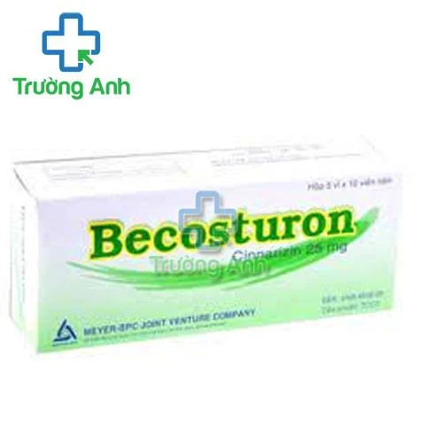 Becosturon - Thuốc phòng say tàu xe hiệu quả