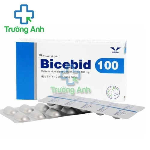 Bicebid 100 - Điều trị bệnh nhiễm khuẩn hiệu quả