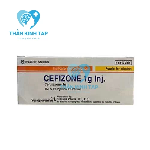 Cefizone 1g Inj.Yungjin