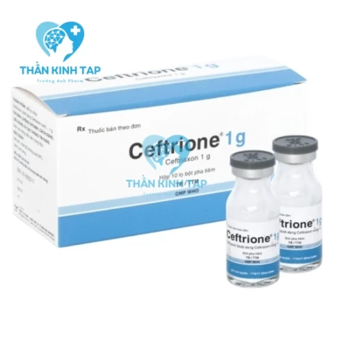Ceftrione 1g - Thuốc điều trị nhiễm trùng của Bidiphar
