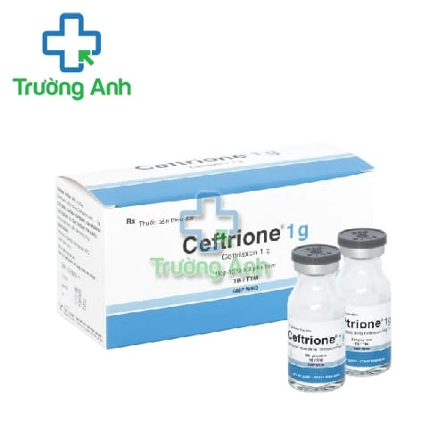 Ceftrione 1g - Thuốc điều trị nhiễm trùng của Bidiphar