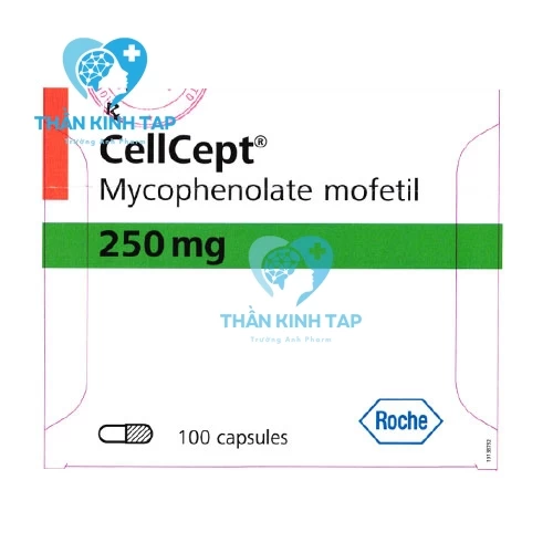 Cellcept 250mg - Thuốc dự phòng thải ghép cấp tính