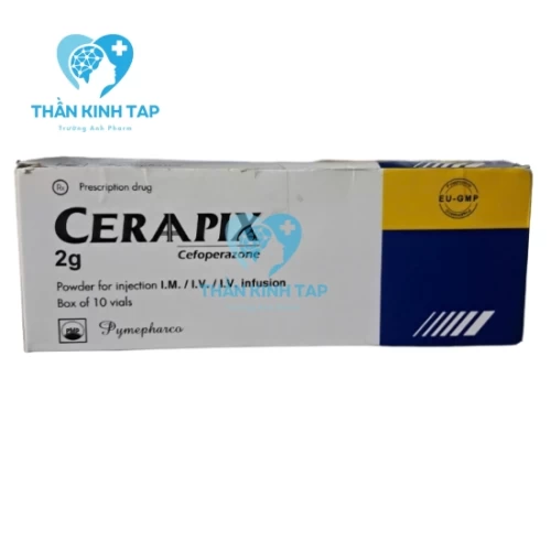 Ceraapix 2g - Thuốc điều trị nhiễm khuẩn hô hấp hiệu quả