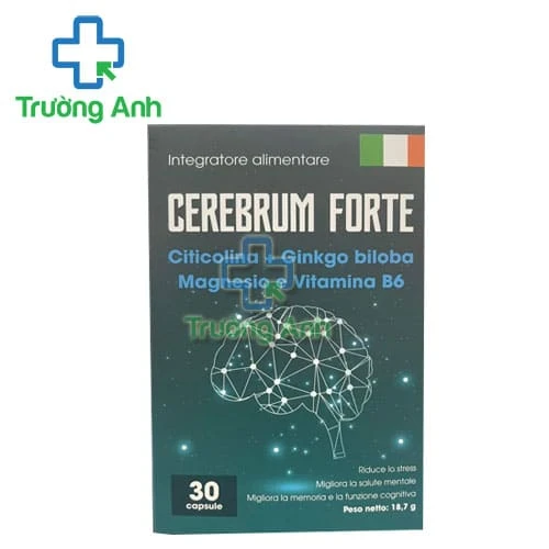 Cerebrum Forte - Hỗ trợ tăng cường tuần hoàn máu não