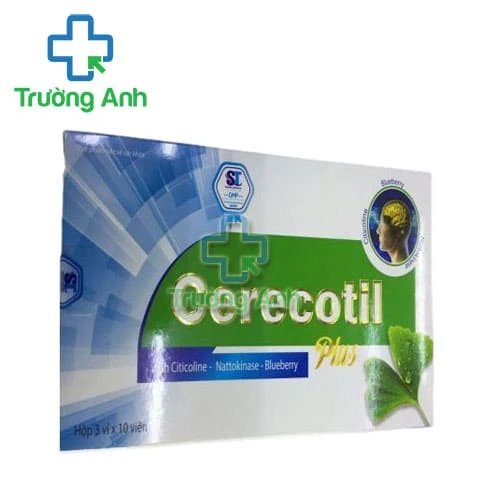 Cerecotil Plus - Hỗ trợ hoạt huyết, tăng cường lưu thông máu não