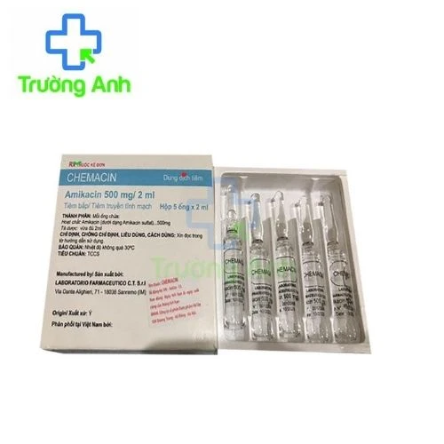 Chemacin 500mg/2ml- Thuốc điều trị nhiễm khuẩn của Ý