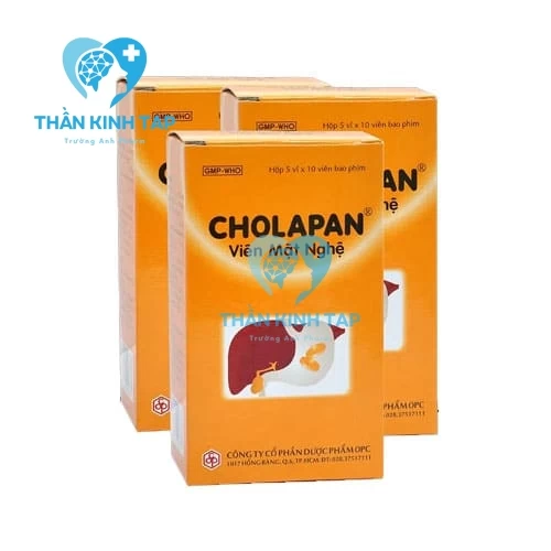 Cholapan Viên mật nghệ - Thuốc điều trị đầy hơi