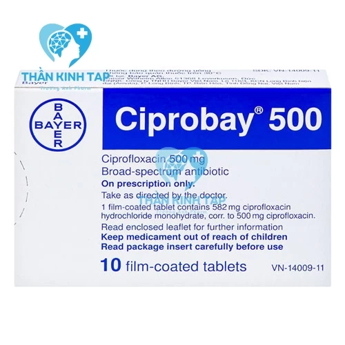 Ciprobay 500mg - Thuốc điều trị nhiễm khuẩn của Đức