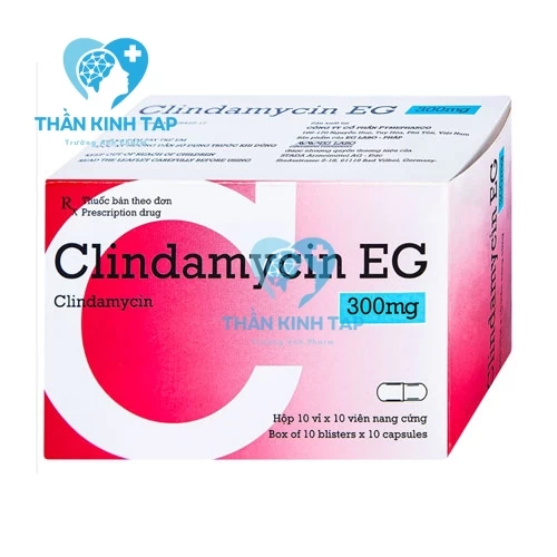 Clindamycin EG 300mg Pymepharco