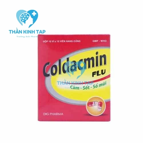 Coldacmin Flu DHG