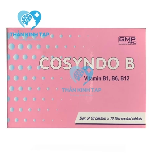 Cosyndo B - Thuốc phòng ngừa và điều trị bệnh thiếu vitamin B
