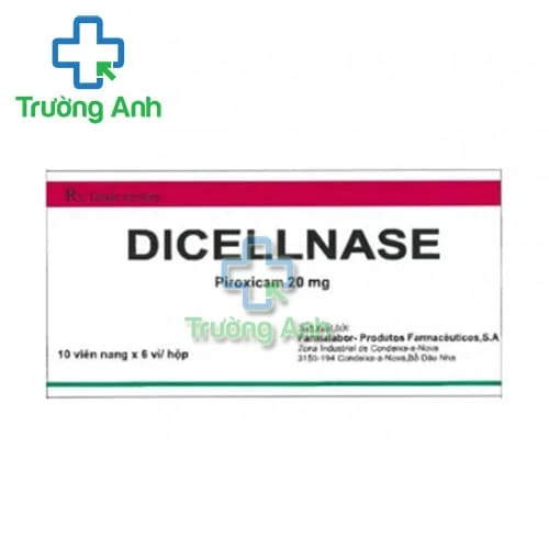 Dicellnase - Thuốc giảm đau, kháng viêm xương khớp