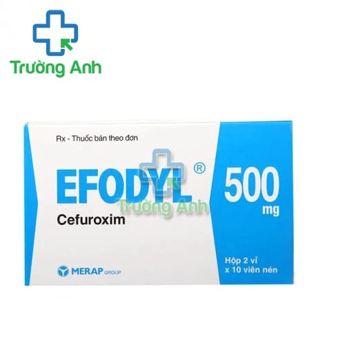 Efodyl 500mg - Thuốc điều trị bệnh viêm, nhiễm khuẩn