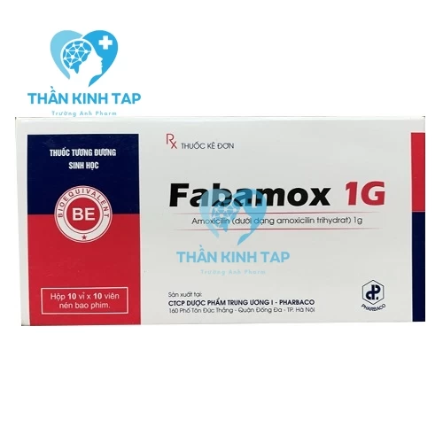 Fabamox 1g - Thuốc điều trị nhiễm khuẩn đường hô hấp