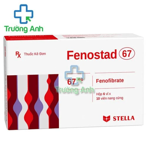 Fenostad 67 - Thuốc điều trị tăng lipid hiệu quả của Stada