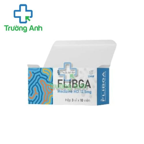 Flibga 12,5mg Medisun - Thuốc ngăn ngừa và điều trị chóng mặt, buồn nôn do say tàu xe