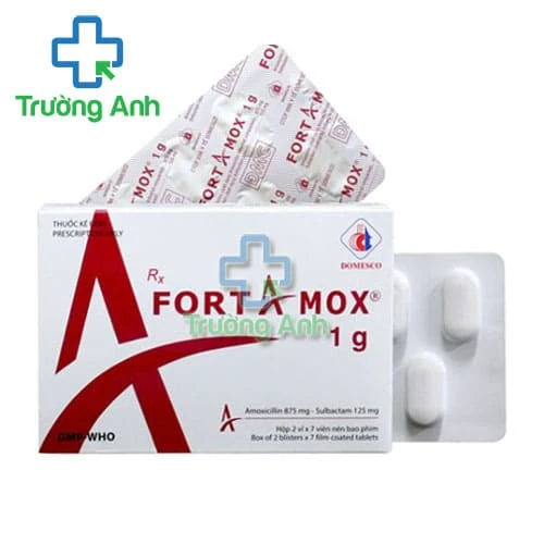 Fortamox 1g - Thuốc điều trị các tình trạng nhiễm khuẩn