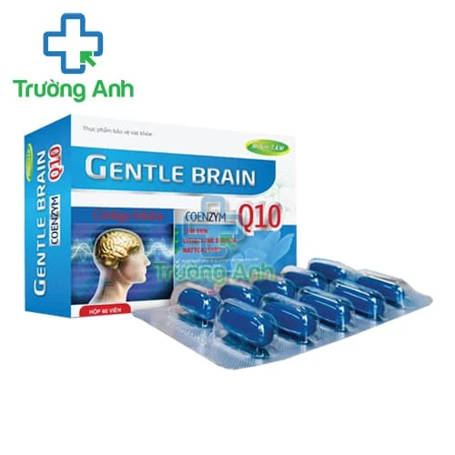 Gentle Brain Minh Tâm - Giúp hoạt huyết, tăng cường tuần hoàn máu não