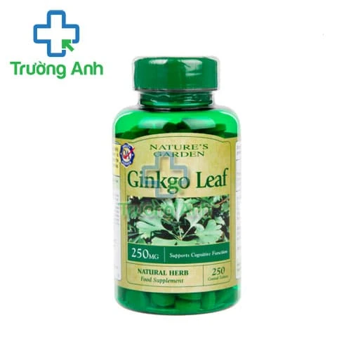 Ginkgo Leaf - Giúp tăng cường lưu thông máu não