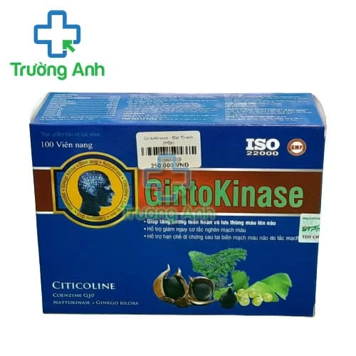 GintoKinase STP Pharma - Hỗ trợ tuần hoàn, lưu thông máu não