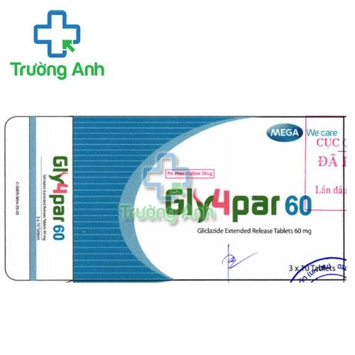 Gly4par 60 - Điều trị bệnh lý đái tháo đường typ 2 hiệu quả