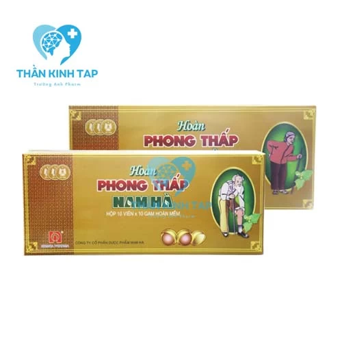 Hoàn Phong Thấp Nam Hà - Thuốc đặc trị các bệnh phong tê thấp