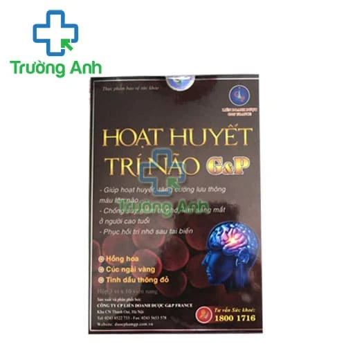 Hoạt Huyết Trí Não G&P - Hỗ trợ tăng cường tuần hoàn máu não