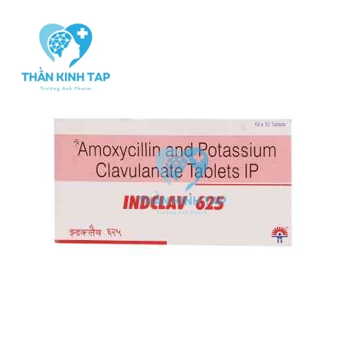 Indclav 625 Indchemie