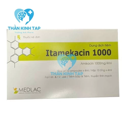 Itamekacin 1000 - Amikacin 1g Medlac