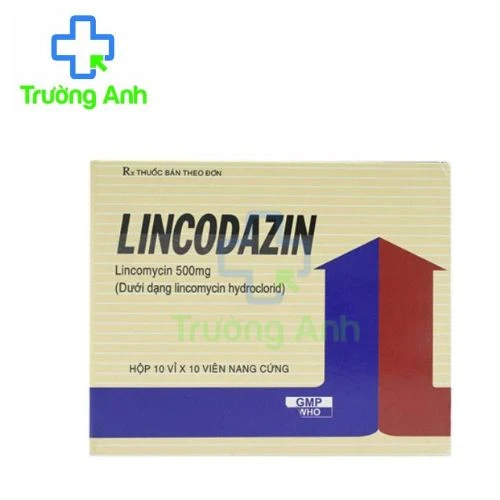 Lincodazin - Thuốc điều trị các bệnh nhiễm khuẩn hiệu quả