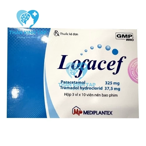 Lofacef - Paracetamol + Tramadol Mediplantex