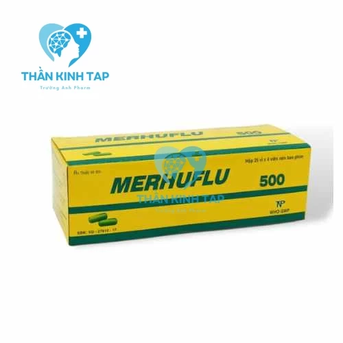 Merhuflu 500mg Dược Thành Nam