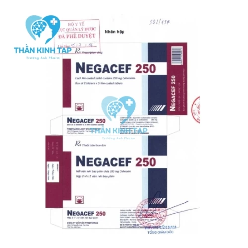 Negacef 250 - Thuốc trị nhiễm khuẩn hiệu quả của Pymepharco