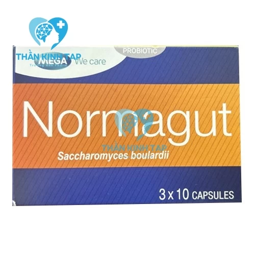 Normagut - Thuốc hỗ trợ cân bằng hệ vi sinh