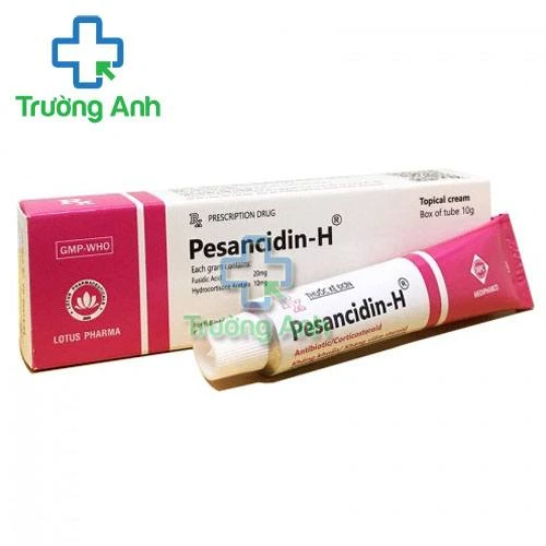 Pesancidin-H - Thuốc điều trị viêm da hiệu quả