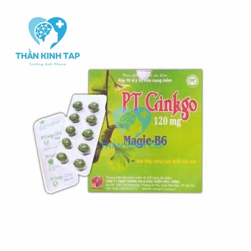 PT GINKGO 120MG NATURE VIỆT NAM