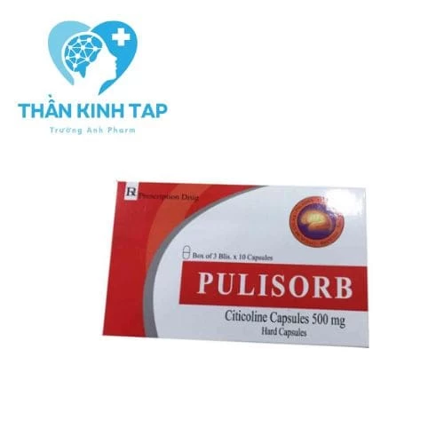 Pulisorb - Thuốc điều trị rối loạn mạch máu não