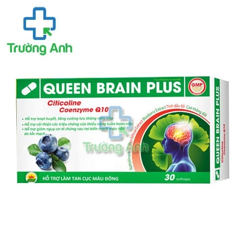 Queen Brain Plus - Hỗ trợ tăng cường lưu thông máu não