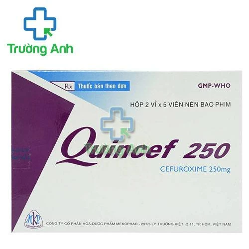 Quincef 250 - Thuốc điều trị nhiễm trùng đường hô hấp hiệu quả