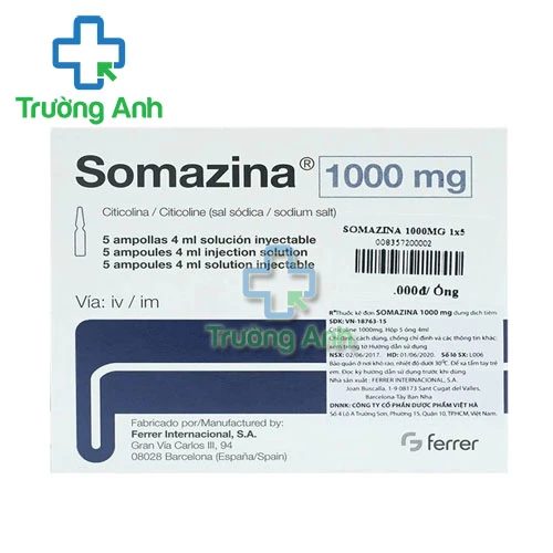 Somazina 1000mg - Thuốc tiêm điều trị chấn thương sọ não